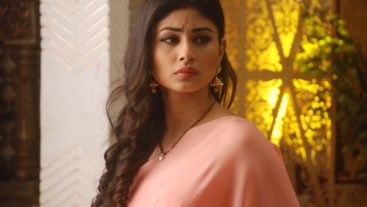 5 things that make Naagin a complete family entertainer.