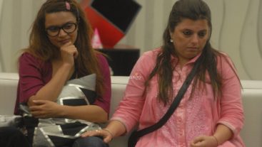 Back bitching rules the day# Day 32, Synopsis