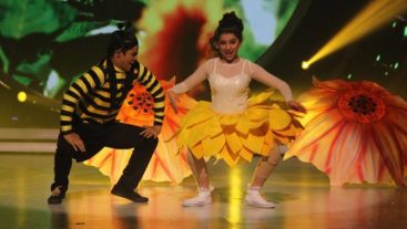 'Beauty and the Bee' tale with Gracy Goswami