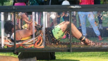 Best Performers Of Week 6: #KKK6