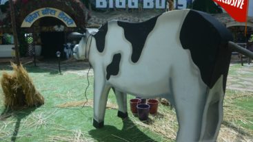 Day 44, Sneak Peek: It's showdown time at the Bigg Boss house!