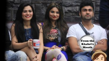 Epic Fight breaks between the wild cats…oops the wild cards!