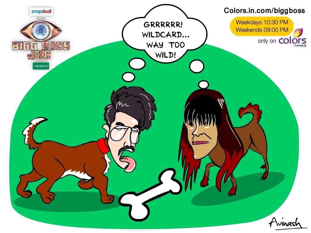 every-dog-has-a-day-colors-tv