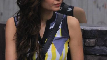 Peace? What’s that? Say Housemates