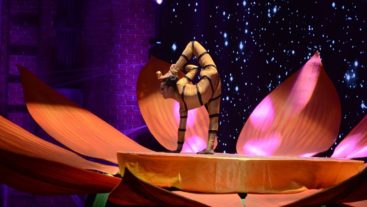 Scenes from Episode – 7