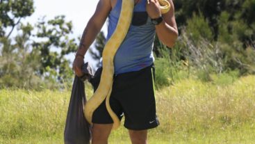 Stunts that conquered contestants fear!!