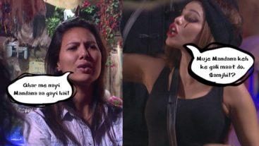 Watch out for the new 'Mandy' in the house!